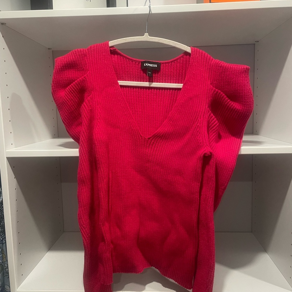 Express Fuchsia Knit Top
